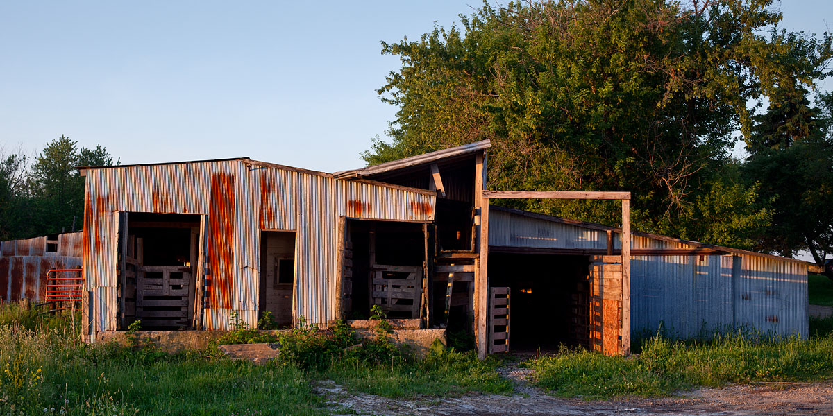 Cattle Shed