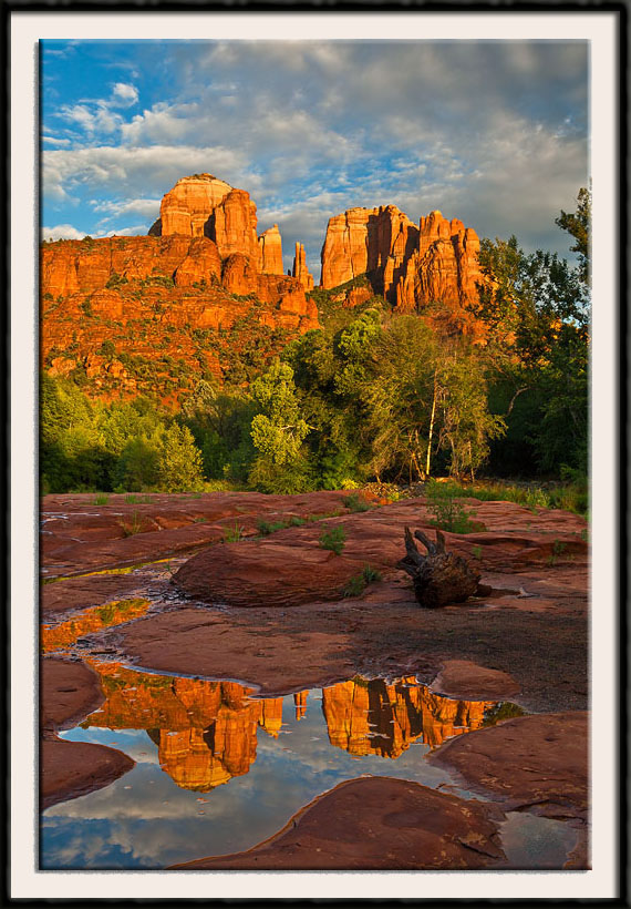 Cathedral Rock Reflected In A Rainwater Pool - Sedona, AZ