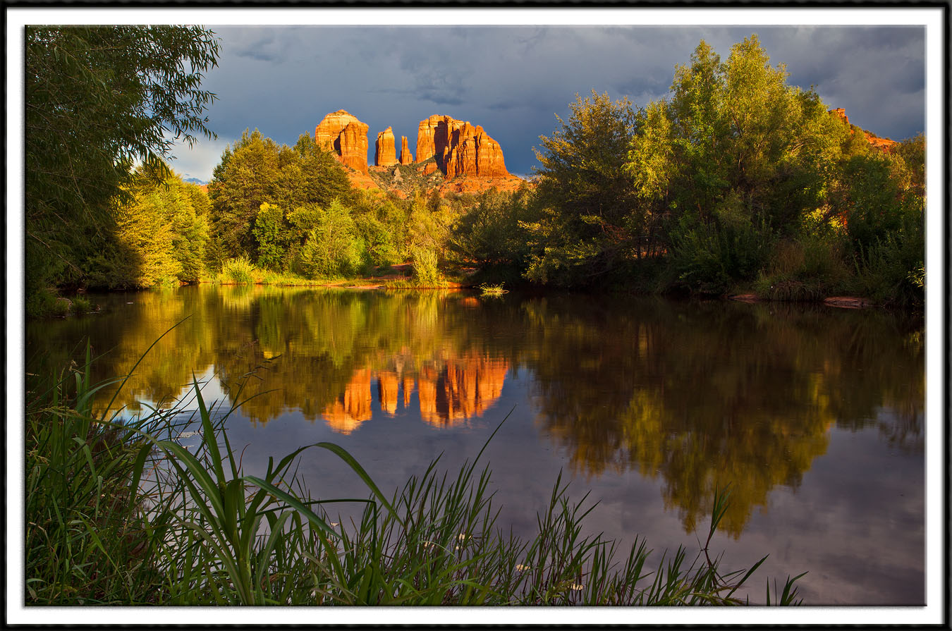 Desert Tranquility