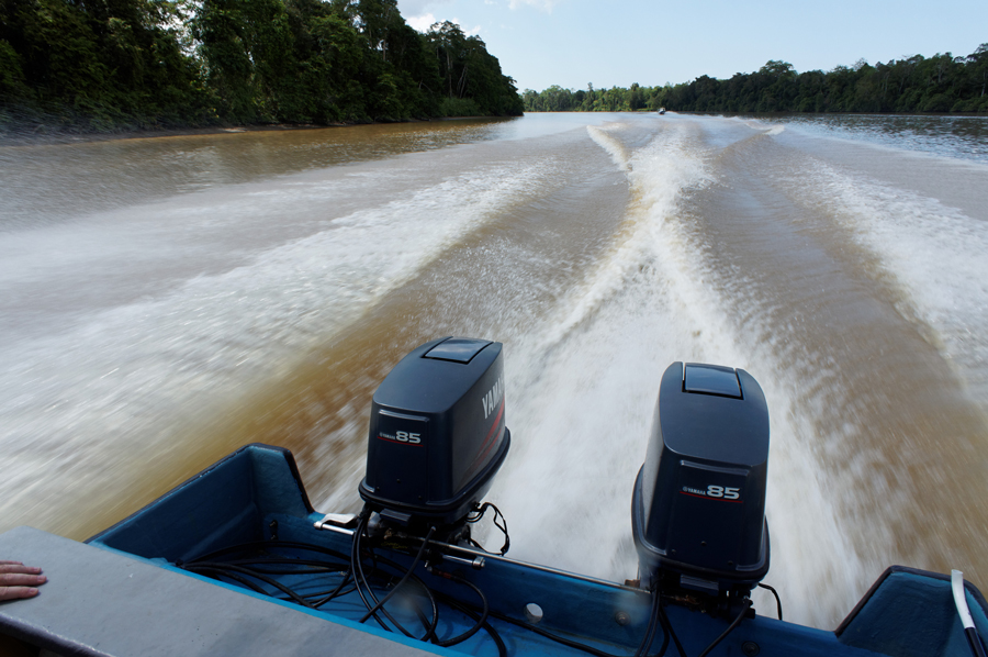 Kinabatangan River