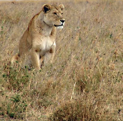 heathers_africa_trip