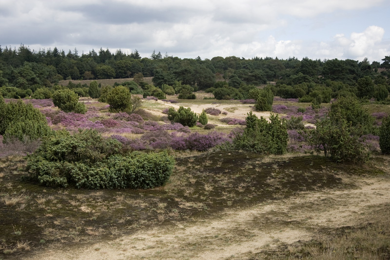 Lemelerberg