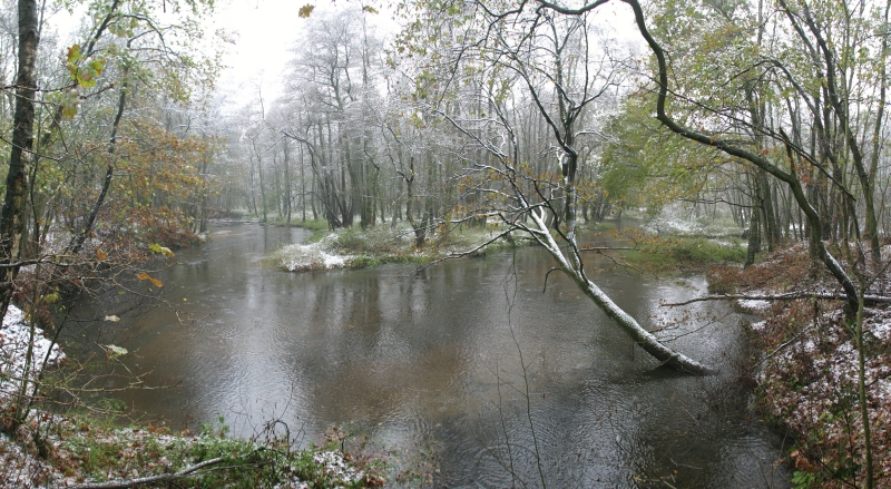 Swalm_01