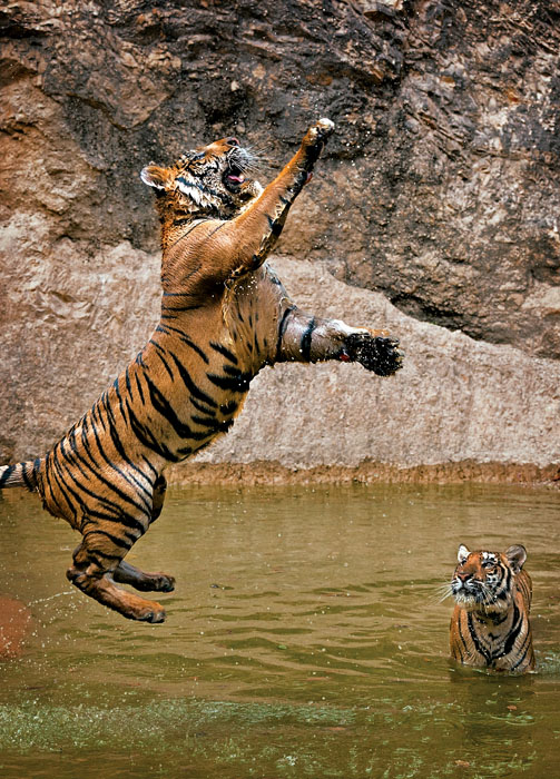 Jump