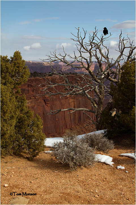  Canyonlands NP