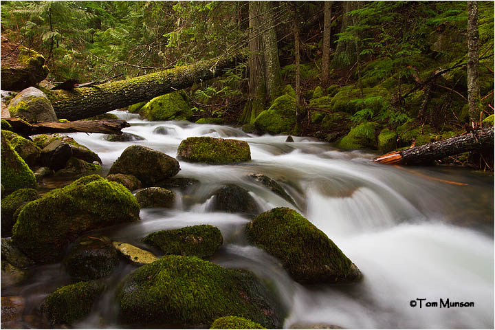 Beauty Bay Creek