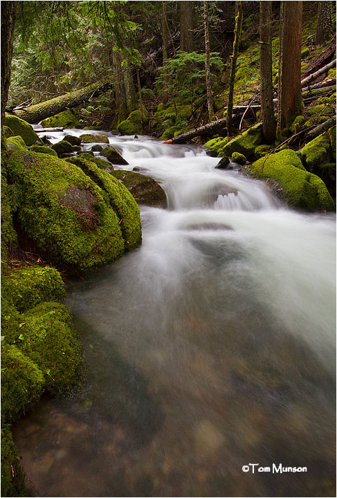 Beauty Bay Creek