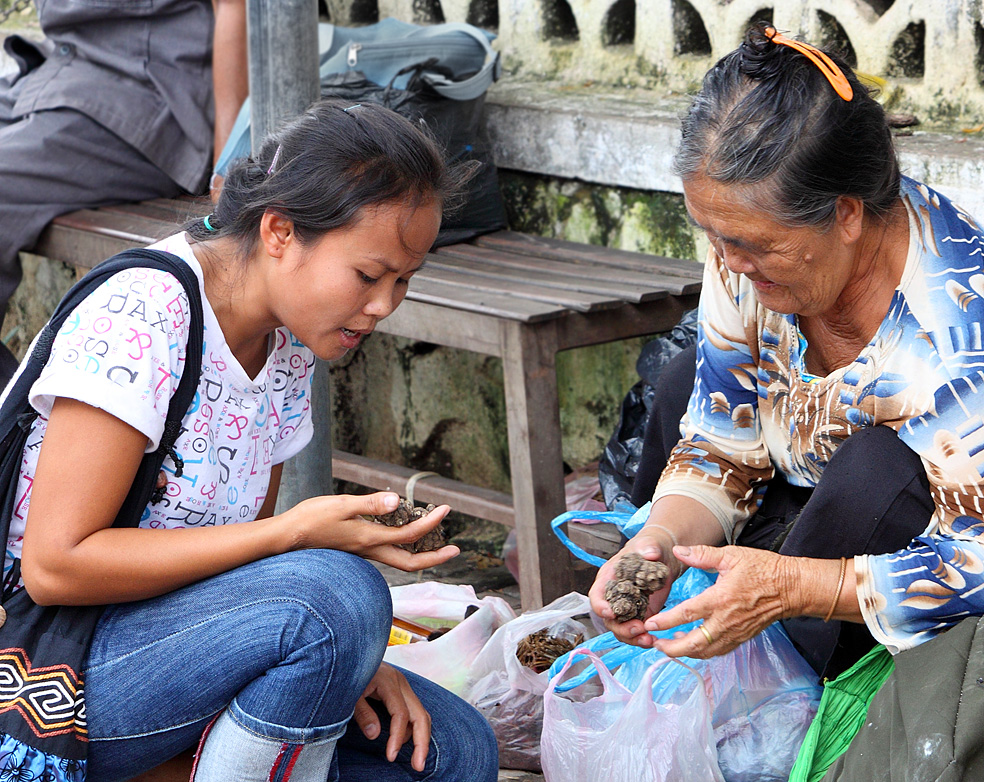 Vientiane Laos