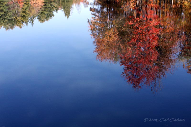 Allegany State Park - Science Lake