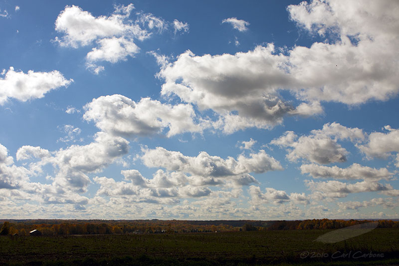 10/16/2010 - _MG_1025.jpg