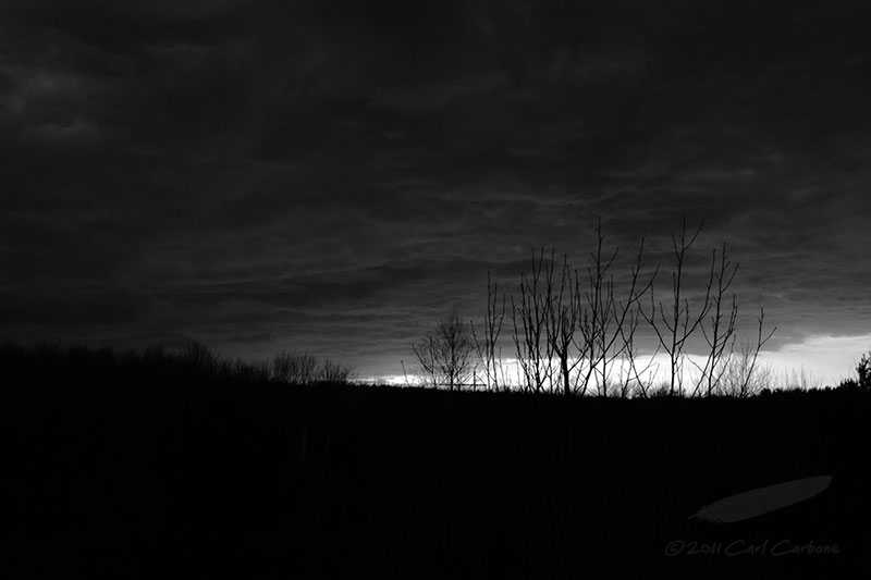20110411bw-_MG_0428.jpg