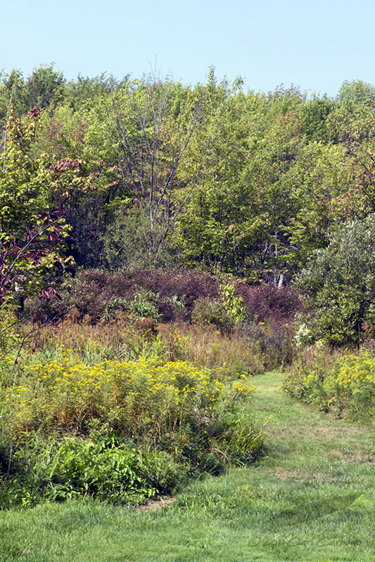 09/08/2011 - _MG_3358.jpg