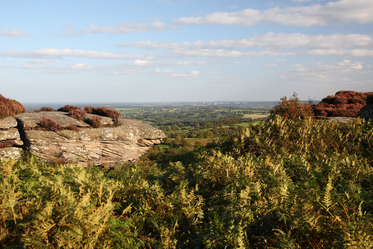 Brimham Rocks