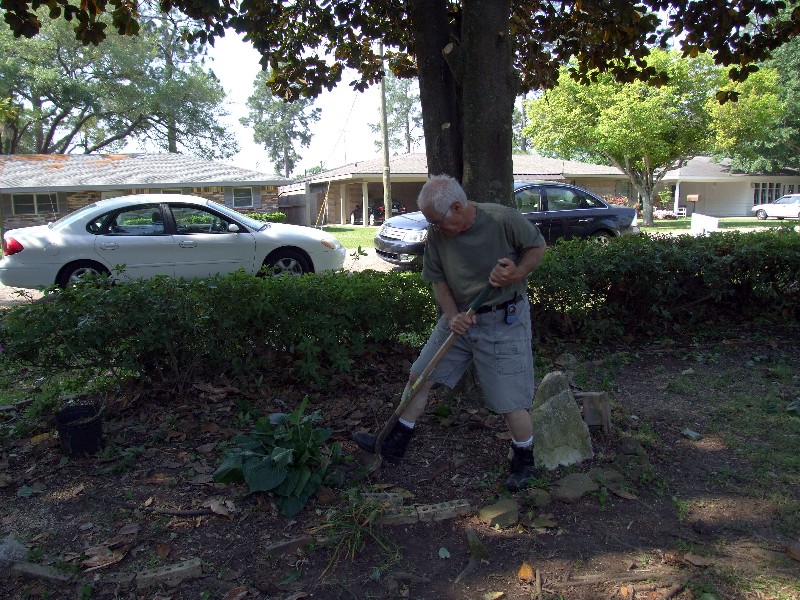  Pops saving the hostas