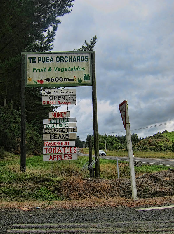 Fresh Fruit for sale