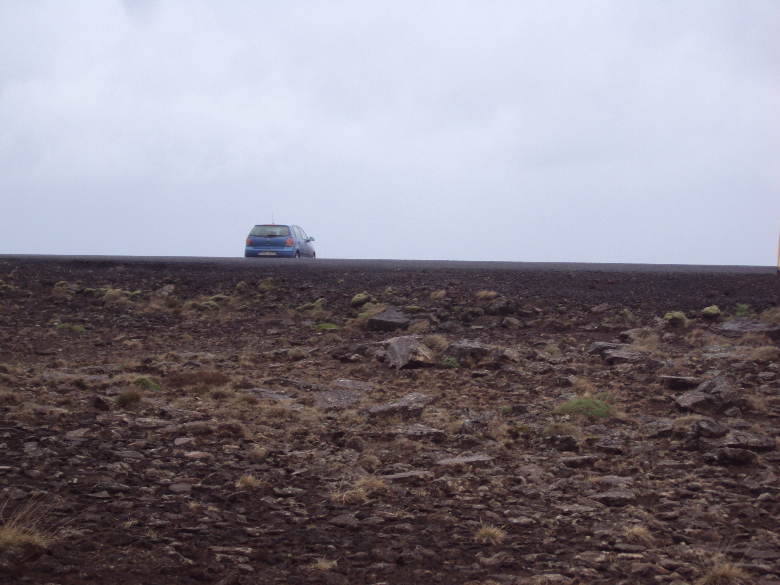 DSC08590.JPG