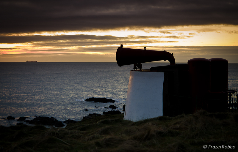 Foghorn Gold