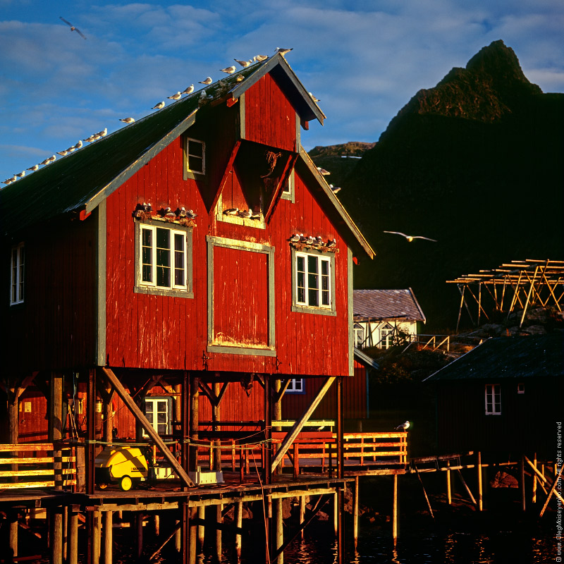 A i Lofoten Village Morning, Norway
