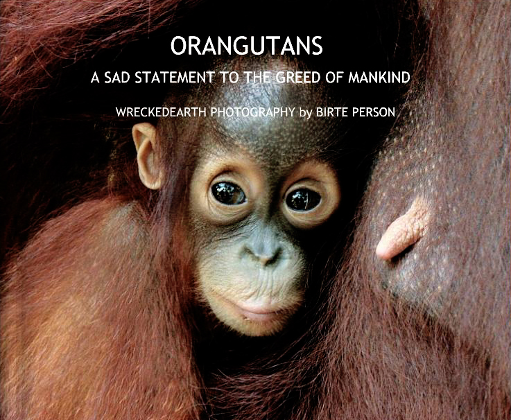 BOOK ORANGUTANS.JPG