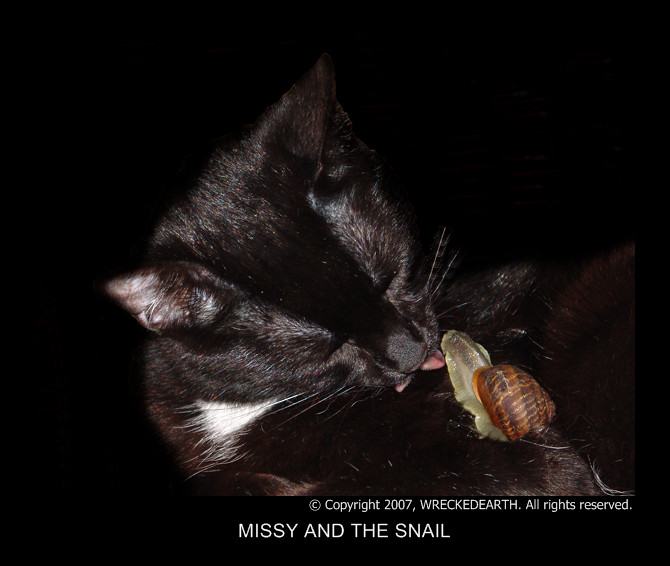 MISSY AND THE SNAIL.jpg