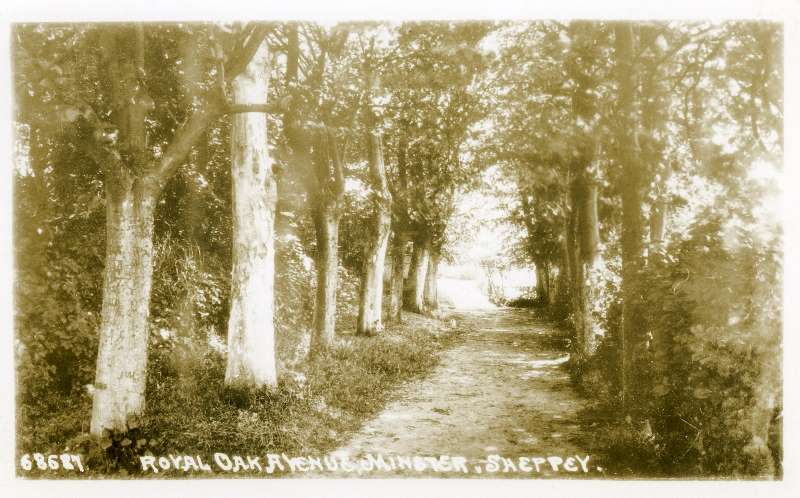 Royal Oak Avenue
