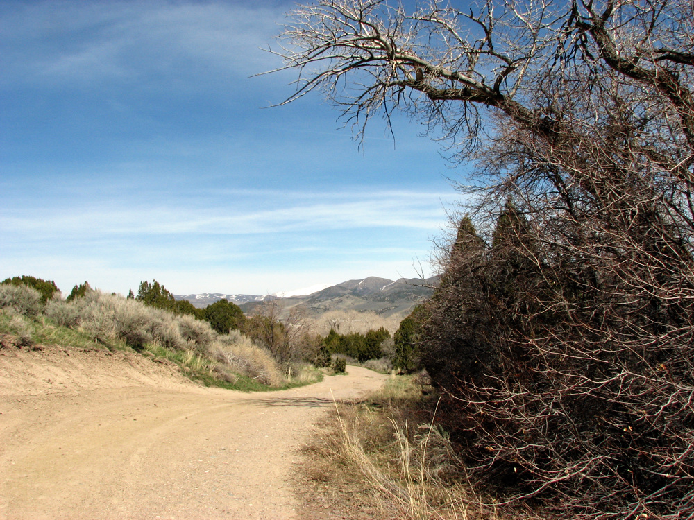 Road from City Creek Trail IMG_1224.jpg