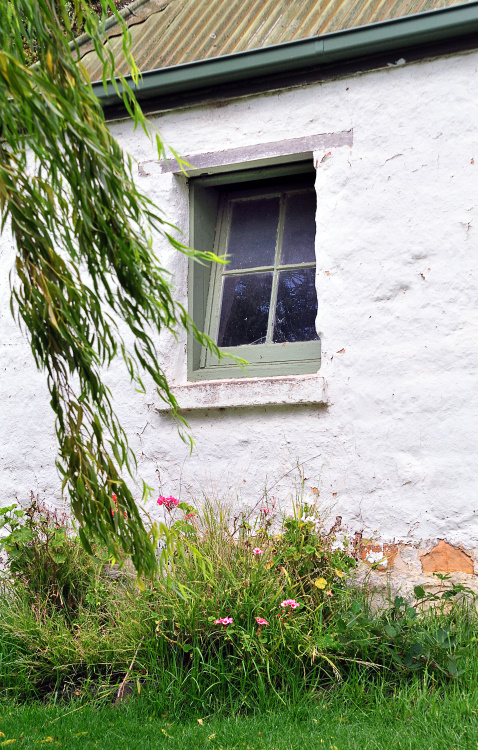 Slanting green window