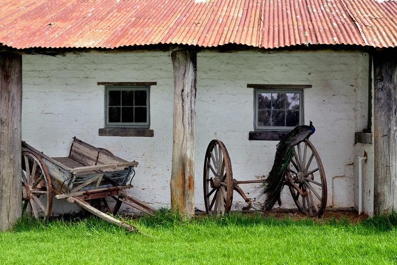 Old cart and wheels