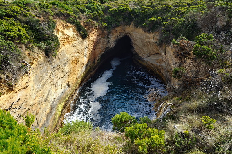 The Blowhole