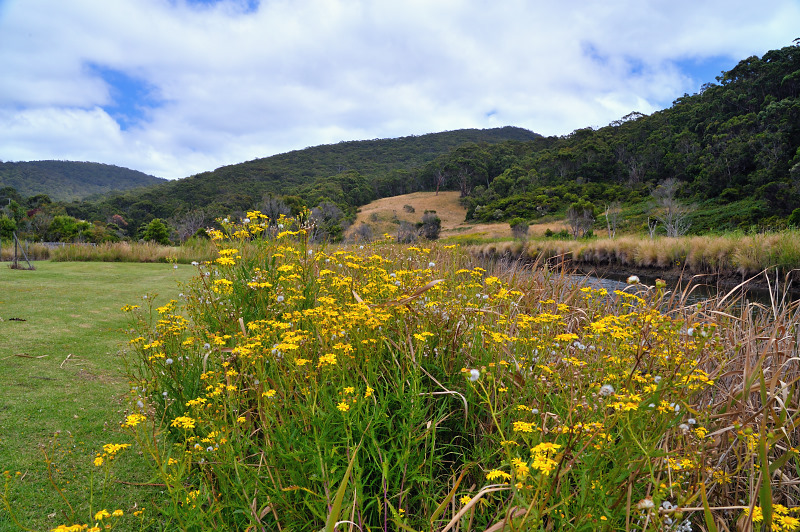Kennett River