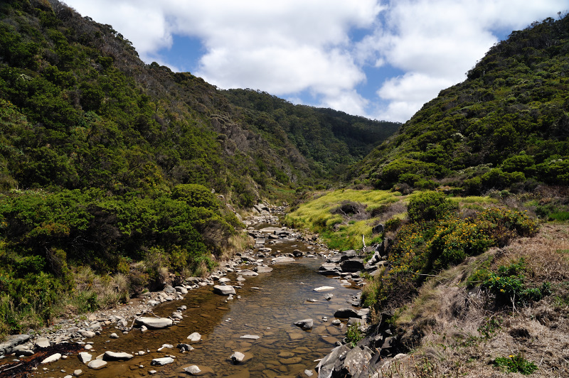 Skenes Creek