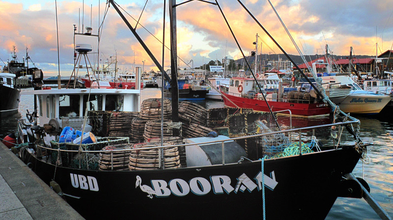 Fishing trawlers