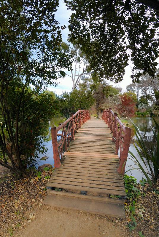 Bridge to serenity ~