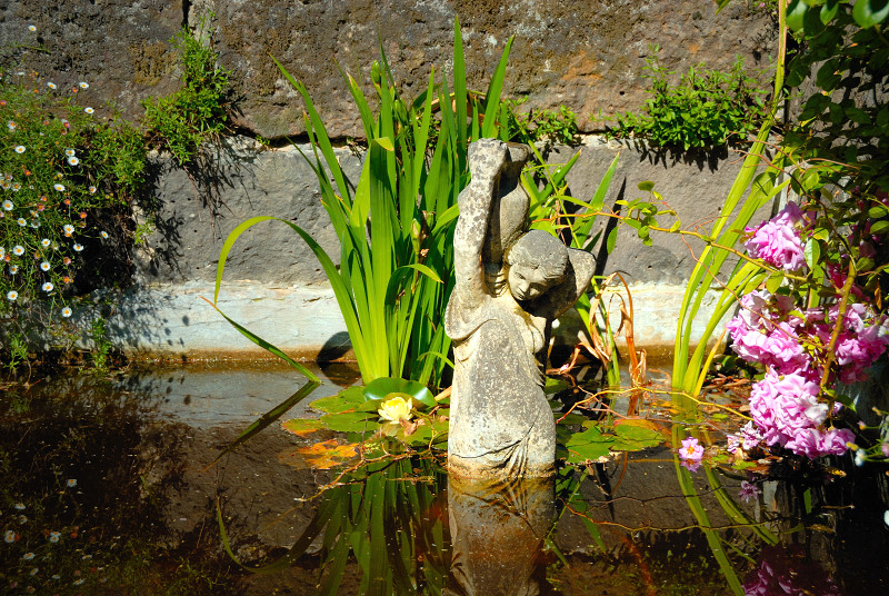 Statue in the pond