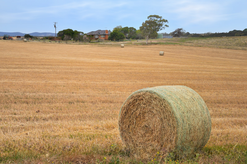 Signs of drought