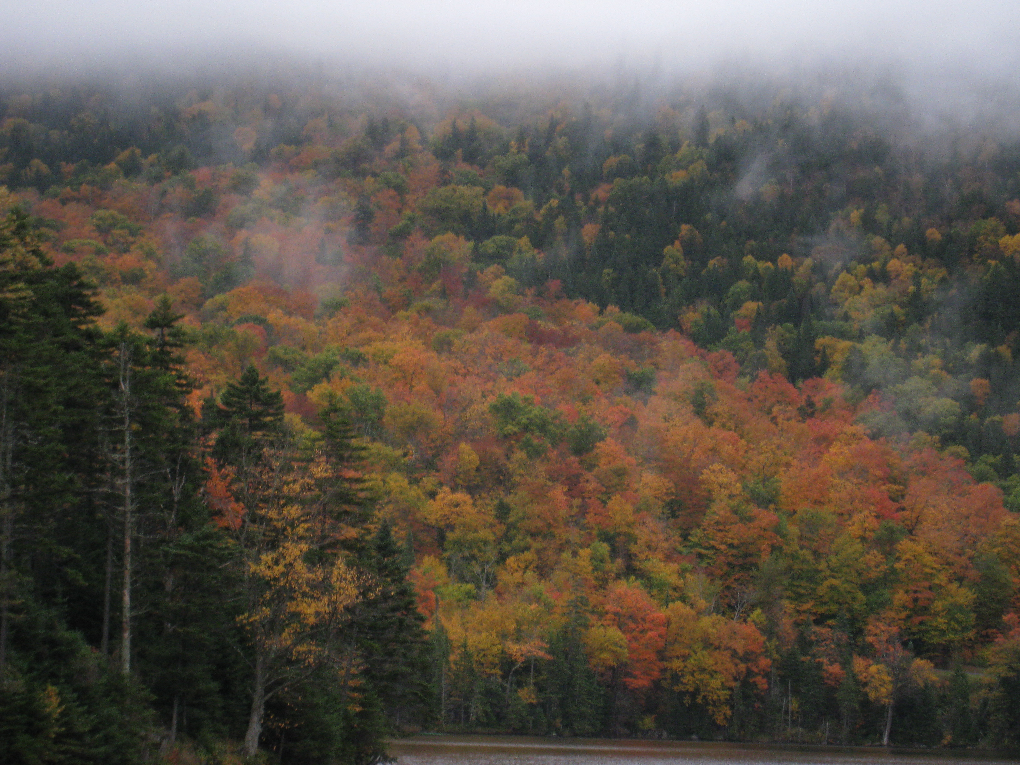 Fall Foliage - Maine or NH