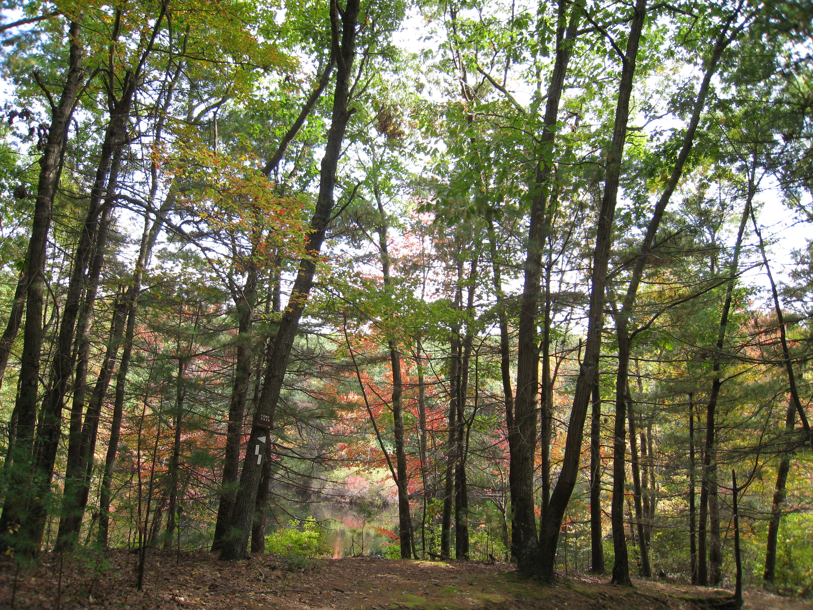 Walden Pond - Concord, Mass.