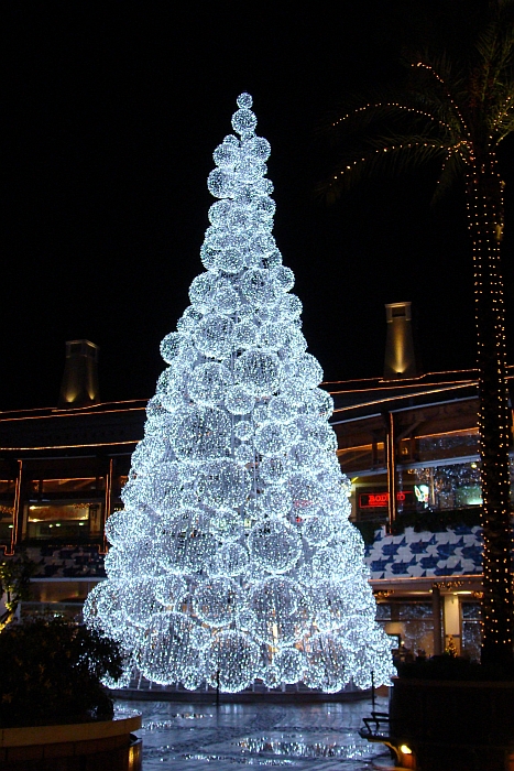 Árvore de Natal em Faro // Christmas Tree in Faro, Portugal