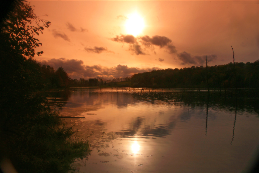 Near Wyalusing, Pa.