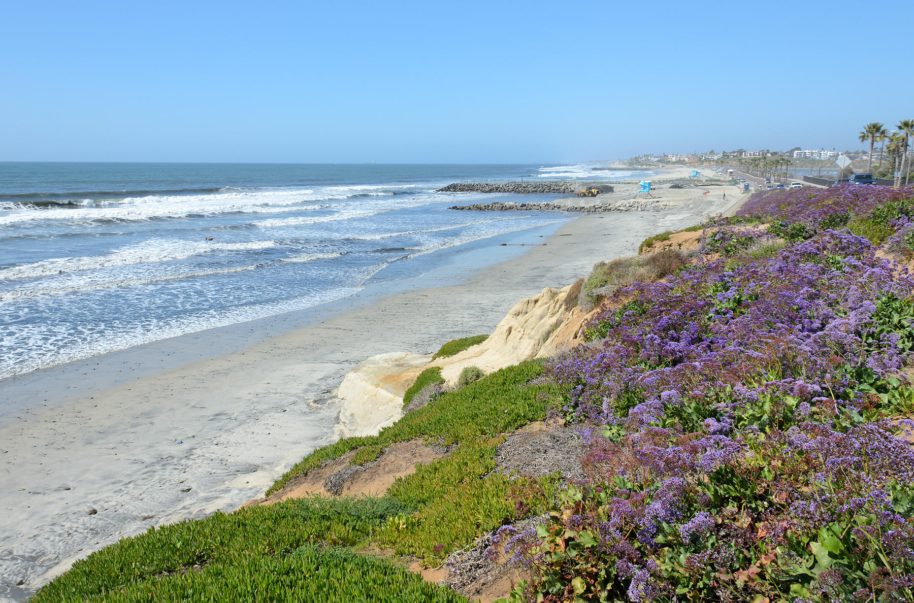 DSC_0139web.jpg