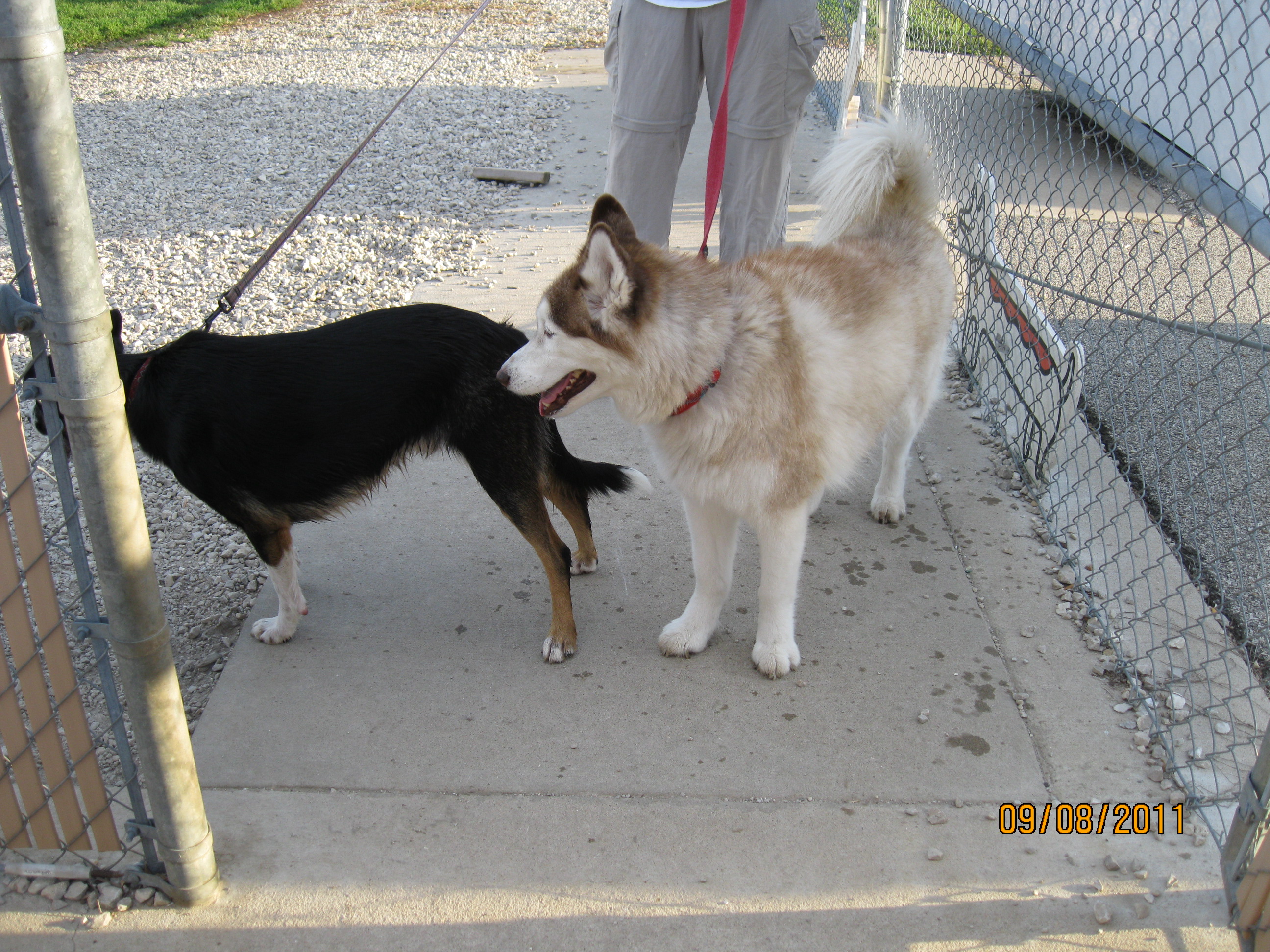 Athena.(photo by Kate Keil)