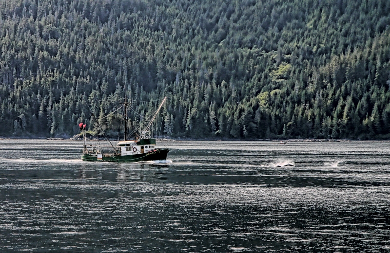 Port McNiell 19.jpg
