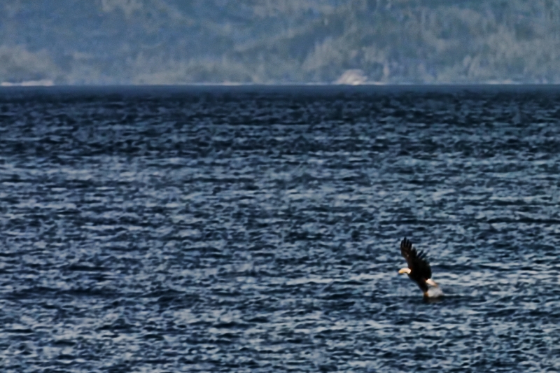 Port McNiell 25.jpg