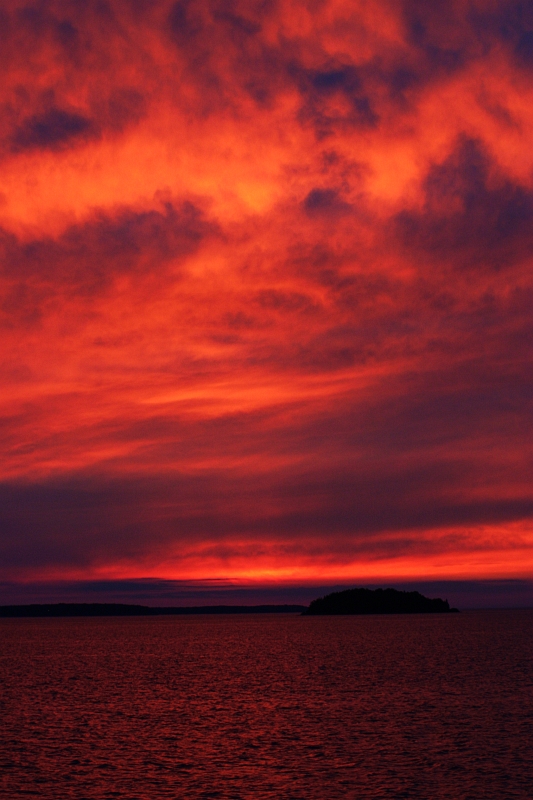 Tobermory 20.jpg