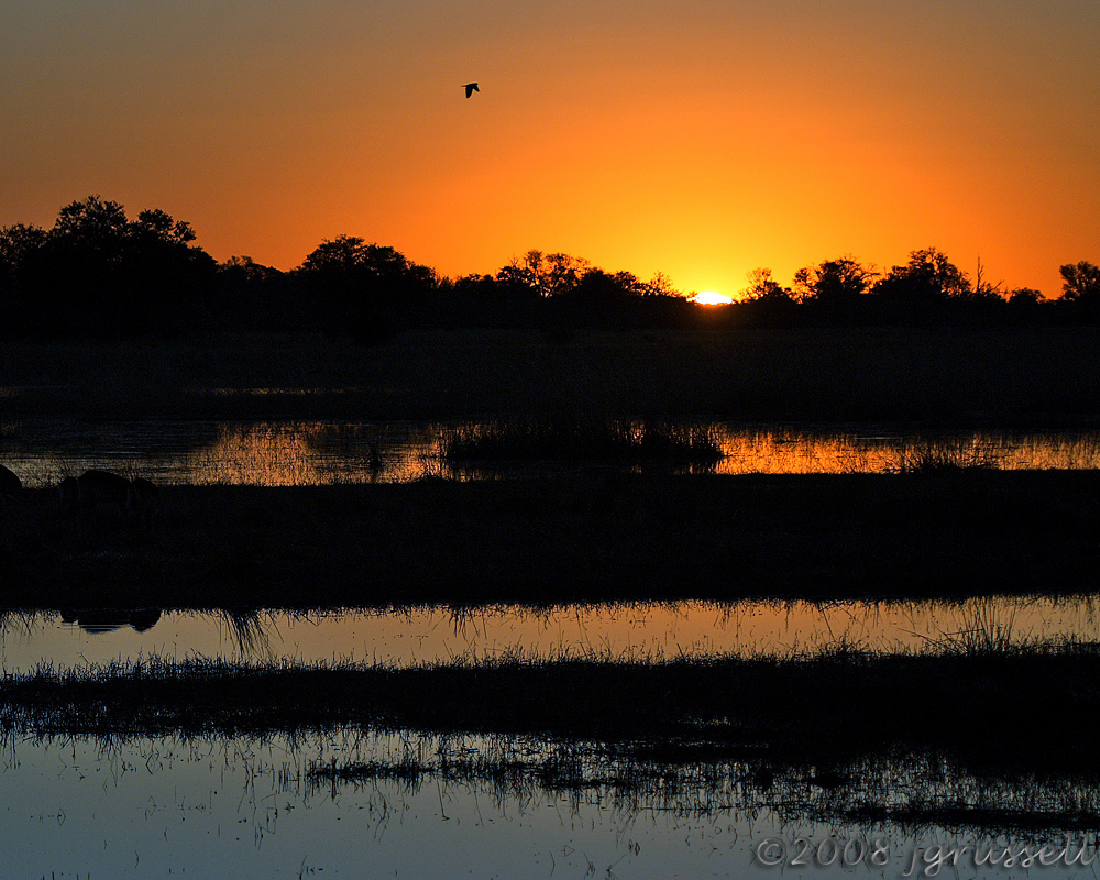 Sunset at Moremi