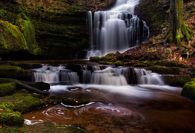 Scalebar Force