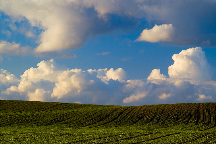 Crops and Clouds