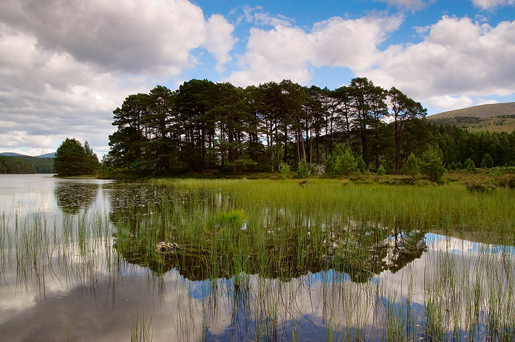 Loch an Eilein Reflections