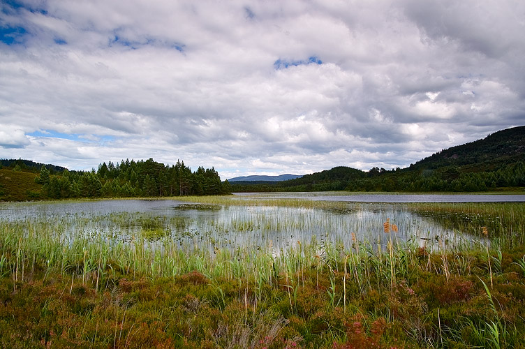 Loch Gamhna