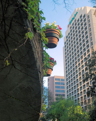 o4/00/358300/1/57835886.SAflowerpots.jpg